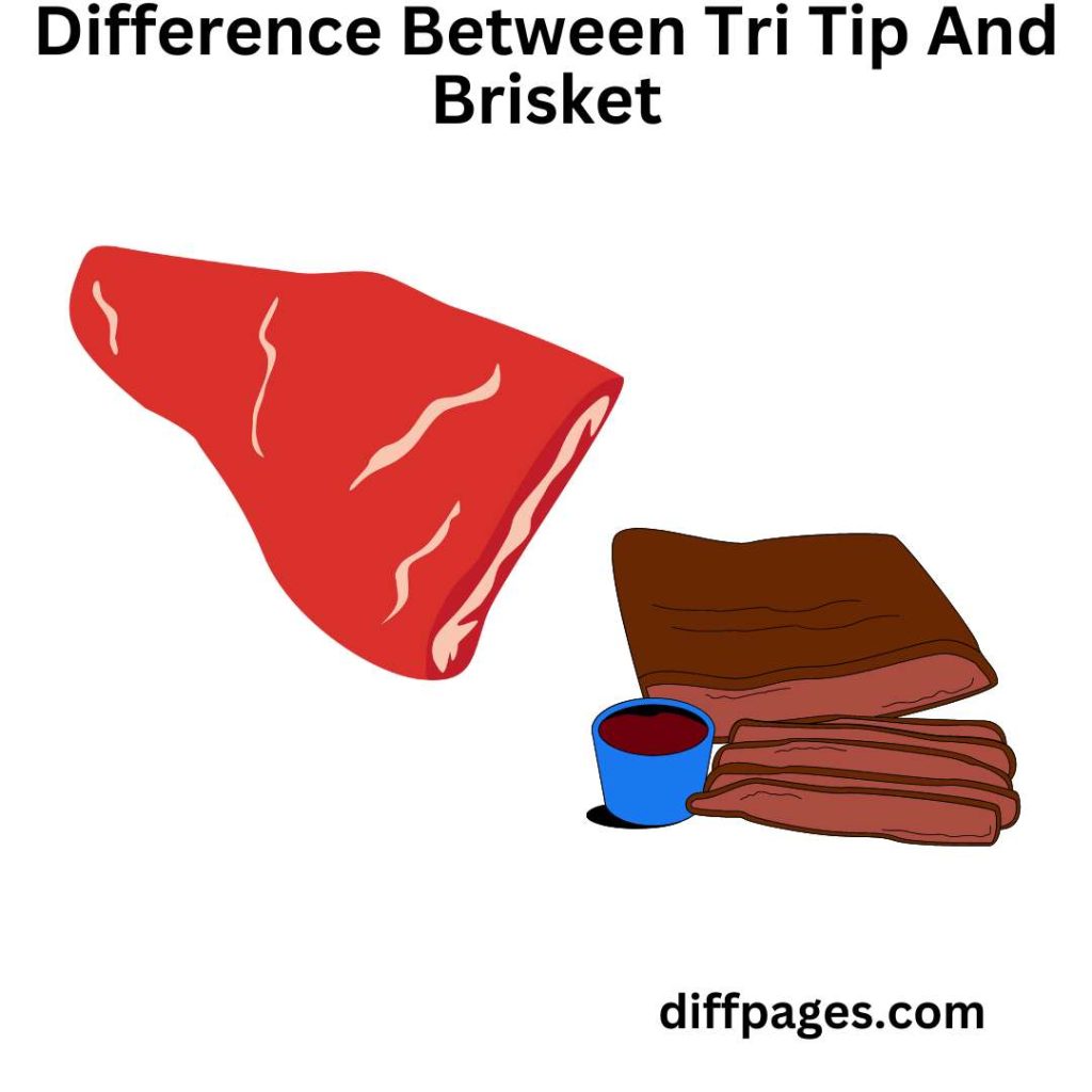 Difference Between Tri Tip And Brisket Featured-Image