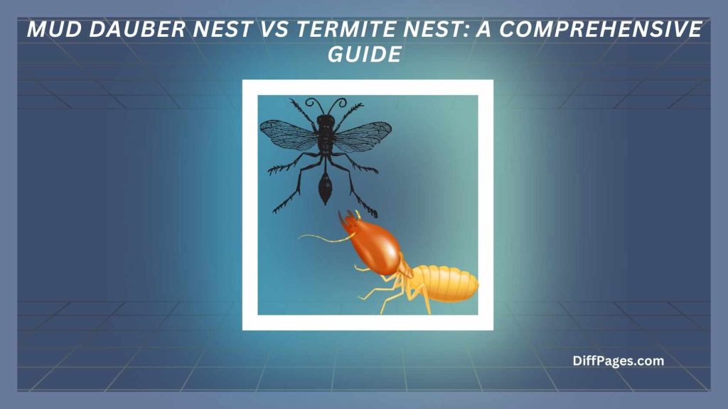 Mud Dauber Nest vs Termite Nest A Comprehensive Guide Featured Image